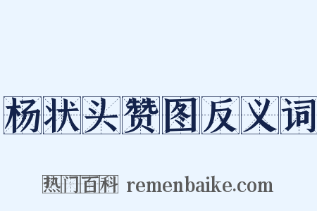 杨状头赞图反义词是什么意思的图片
